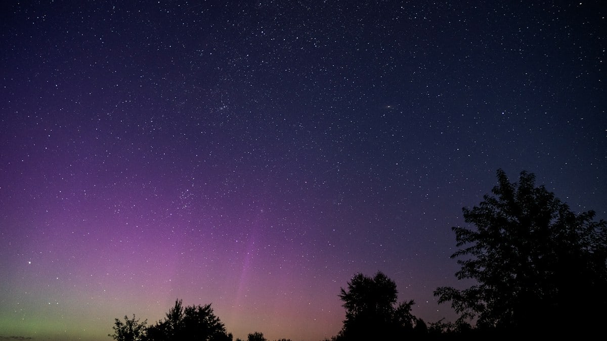A purple and green aurora over trees at night
